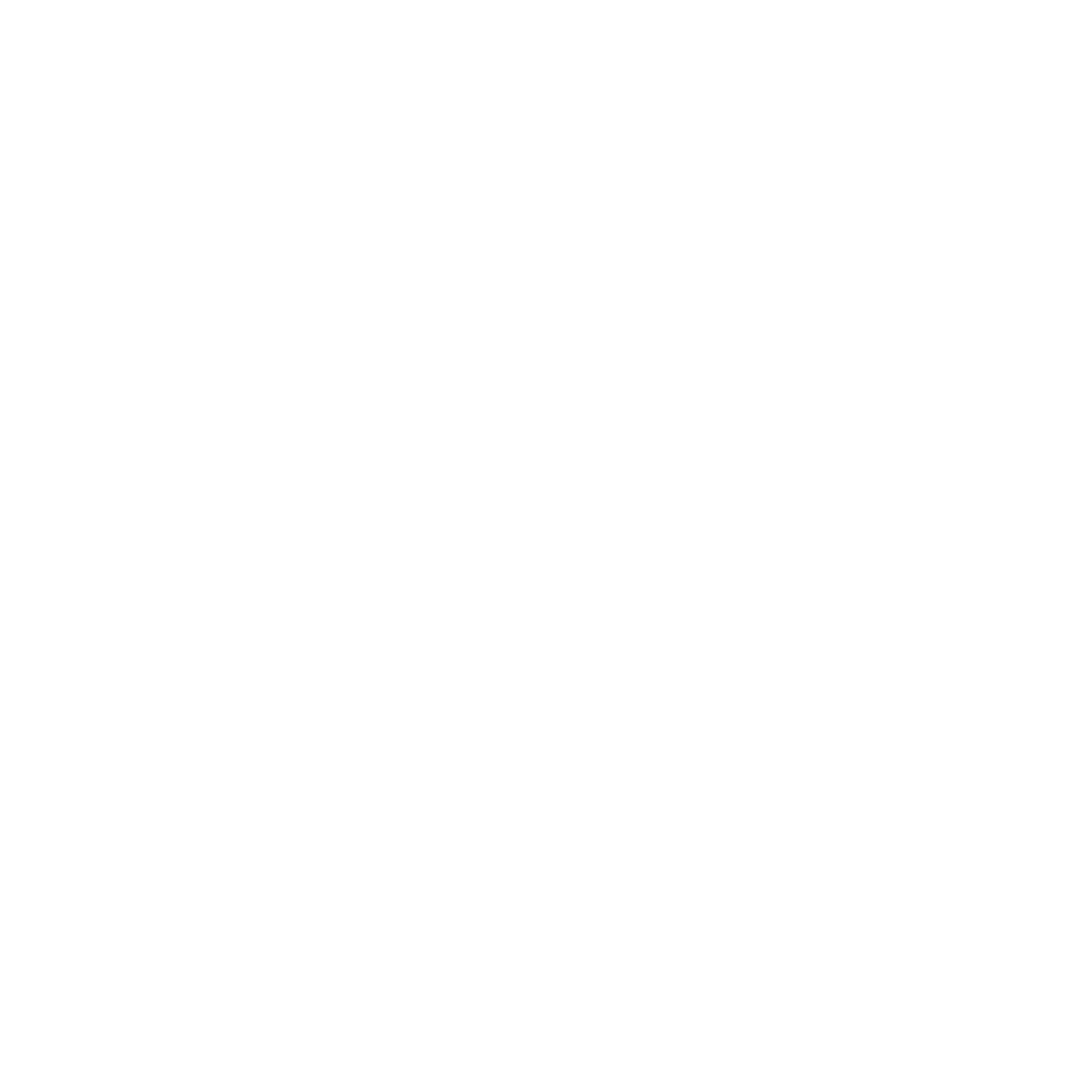The Security Nexus Logo
